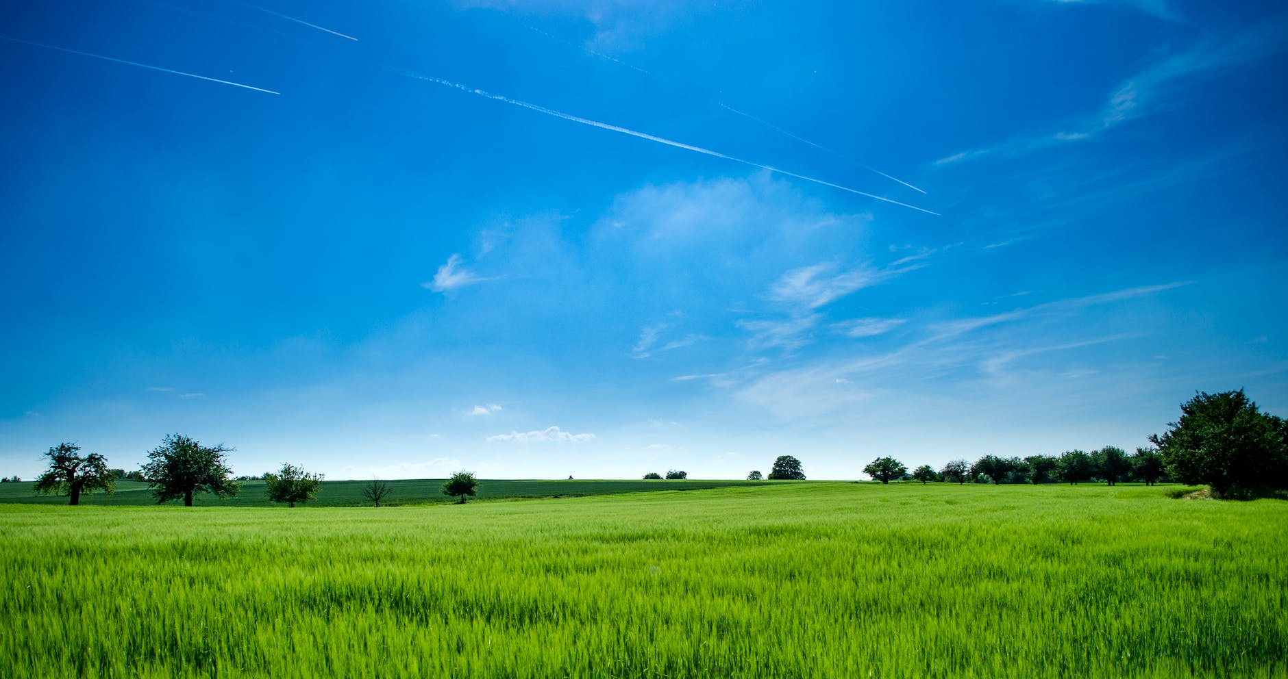 panoramic photography of green field ideal for those searching for farmland